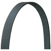 DAYCO Drive Rite Belt, 5060750DR 5060750DR